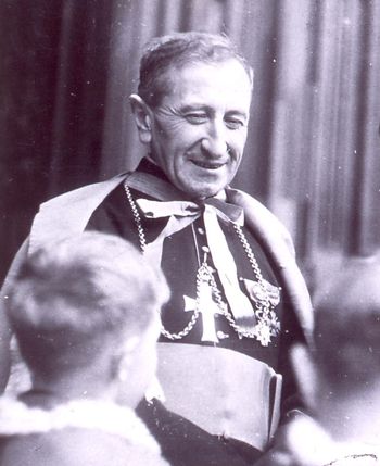 Mgr Jean Julien Weber