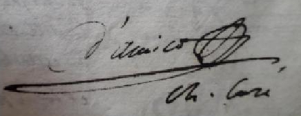damico signature