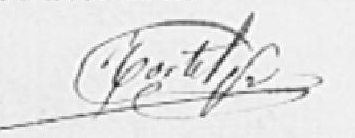 signature tortel